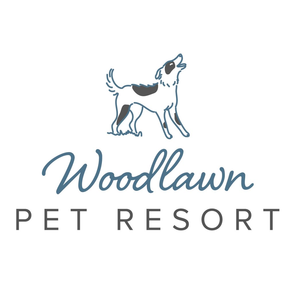 blog-woodlawn-pet-resort